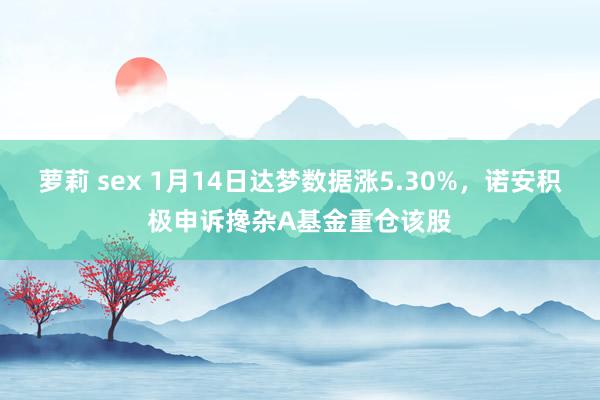 萝莉 sex 1月14日达梦数据涨5.30%，诺安积极申诉搀杂A基金重仓该股