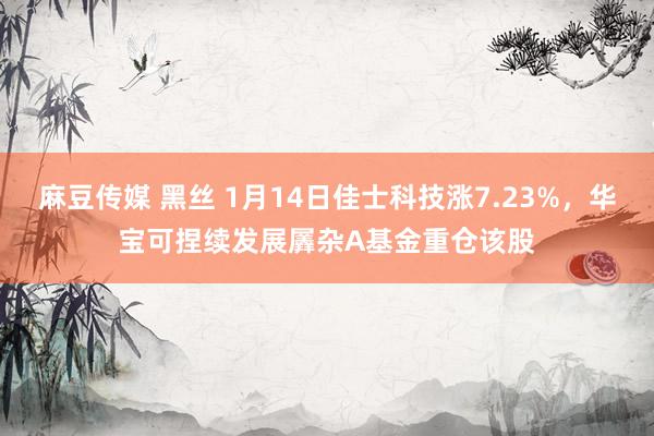麻豆传媒 黑丝 1月14日佳士科技涨7.23%，华宝可捏续发展羼杂A基金重仓该股