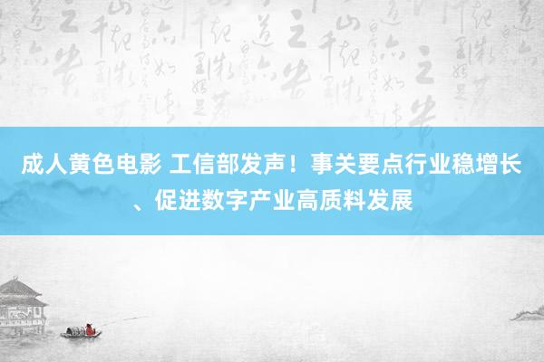 成人黄色电影 工信部发声！事关要点行业稳增长、促进数字产业高质料发展