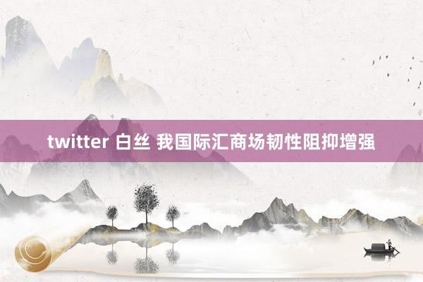 twitter 白丝 我国际汇商场韧性阻抑增强