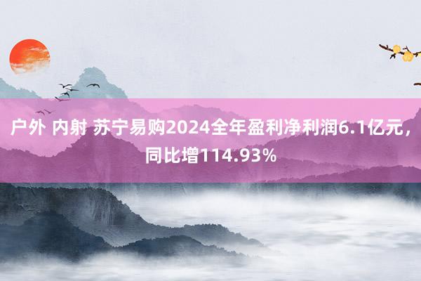 户外 内射 苏宁易购2024全年盈利净利润6.1亿元，同比增114.93%