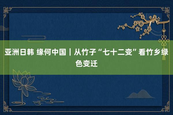 亚洲日韩 缘何中国｜从竹子“七十二变”看竹乡绿色变迁
