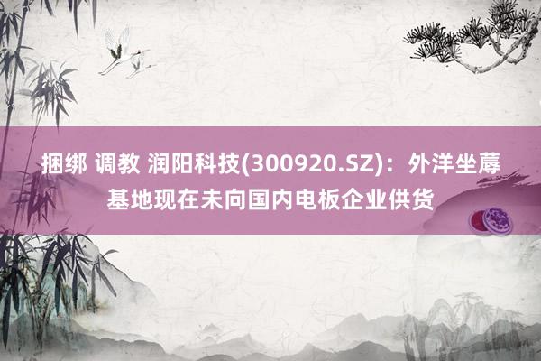 捆绑 调教 润阳科技(300920.SZ)：外洋坐蓐基地现在未向国内电板企业供货