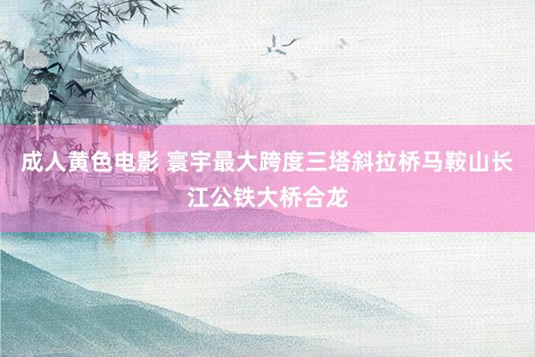 成人黄色电影 寰宇最大跨度三塔斜拉桥马鞍山长江公铁大桥合龙