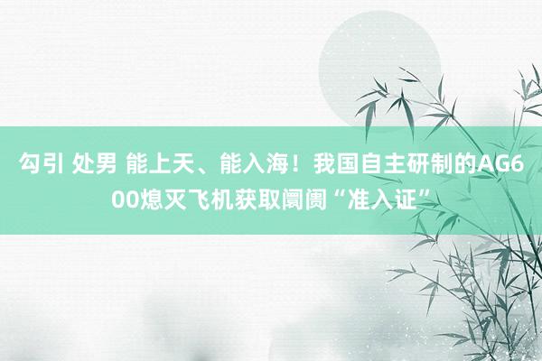 勾引 处男 能上天、能入海！我国自主研制的AG600熄灭飞机获取阛阓“准入证”