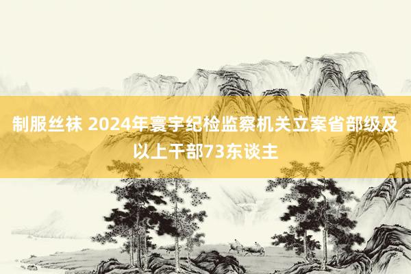 制服丝袜 2024年寰宇纪检监察机关立案省部级及以上干部73东谈主