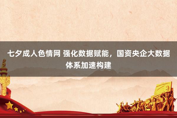 七夕成人色情网 强化数据赋能，国资央企大数据体系加速构建