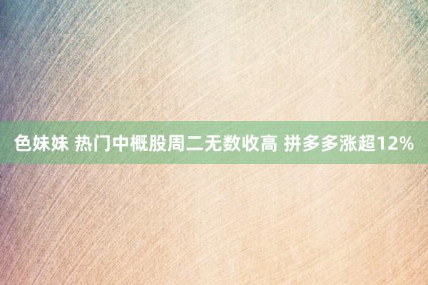 色妹妹 热门中概股周二无数收高 拼多多涨超12%