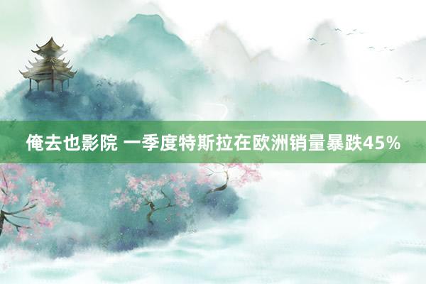 俺去也影院 一季度特斯拉在欧洲销量暴跌45%
