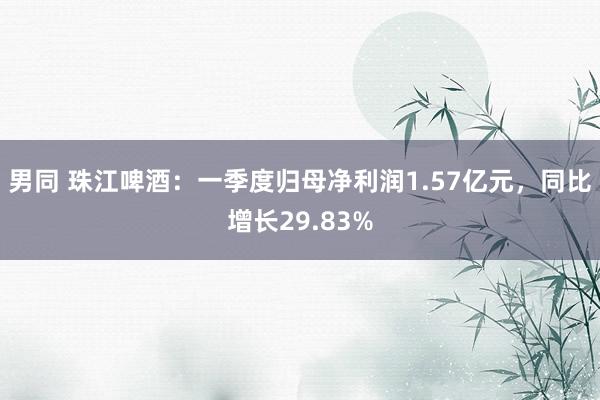 男同 珠江啤酒：一季度归母净利润1.57亿元，同比增长29.83%