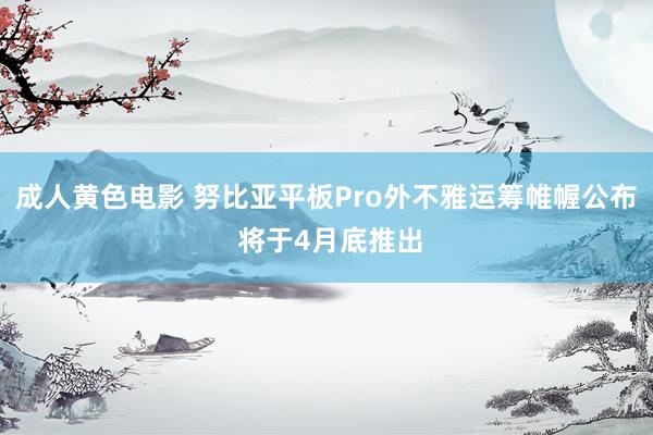 成人黄色电影 努比亚平板Pro外不雅运筹帷幄公布 将于4月底推出