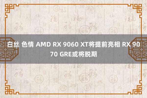 白丝 色情 AMD RX 9060 XT将提前亮相 RX 9070 GRE或将脱期