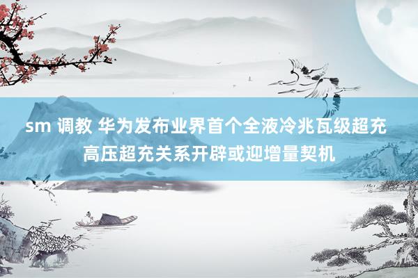 sm 调教 华为发布业界首个全液冷兆瓦级超充 高压超充关系开辟或迎增量契机