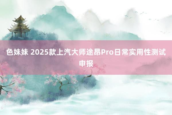 色妹妹 2025款上汽大师途昂Pro日常实用性测试申报