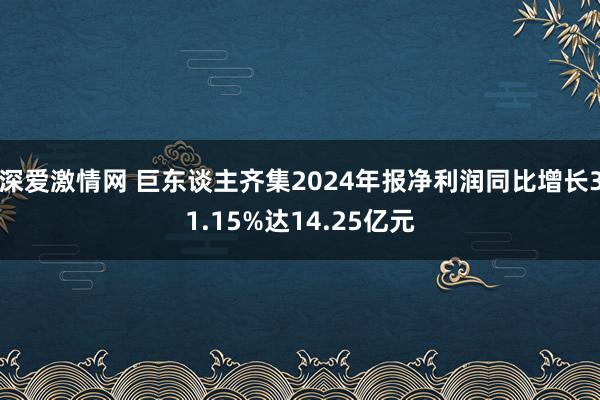 深爱激情网 巨东谈主齐集2024年报净利润同比增长31.15%达14.25亿元